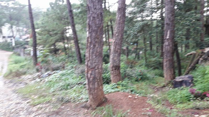 Picture of Residential Lot for sale in Baguio in Benguet