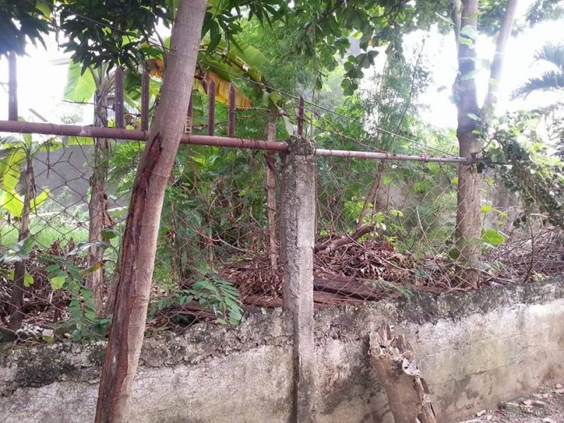 Picture of Residential Lot for sale in Lapu Lapu in Cebu