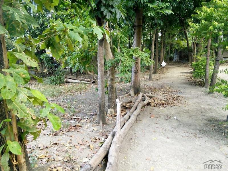 Picture of Residential Lot for sale in Lapu Lapu in Cebu