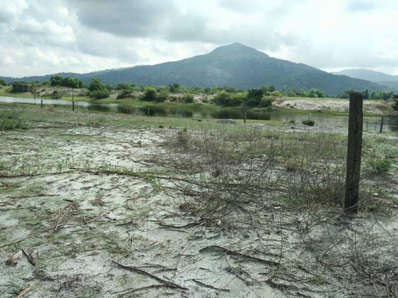 Other lots for sale in Cabangan - image 5