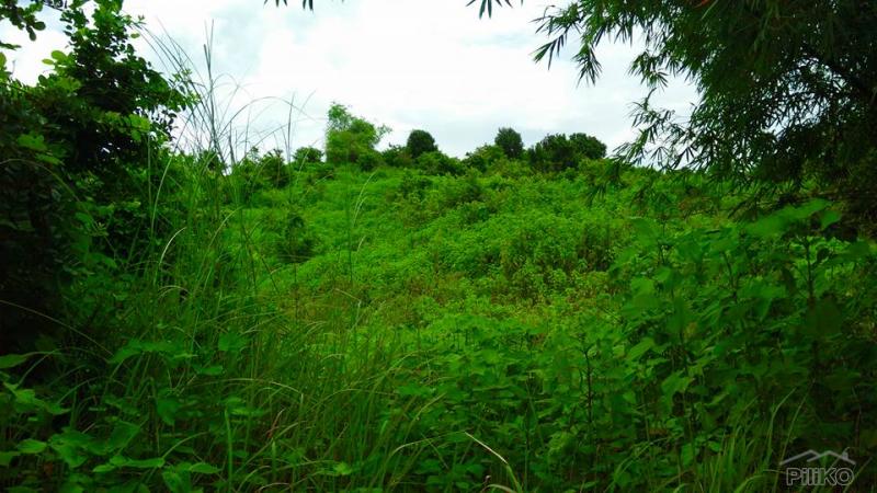 Land and Farm for sale in Cabangan - image 5