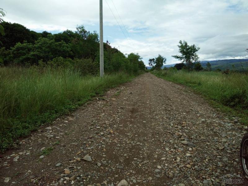 Picture of Land and Farm for sale in Iba in Zambales