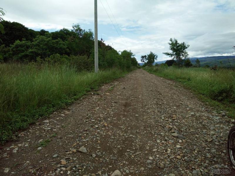 Land and Farm for sale in Iba - image 5