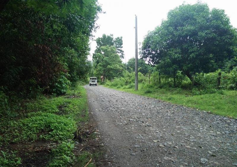 Picture of Land and Farm for sale in Cabangan in Zambales