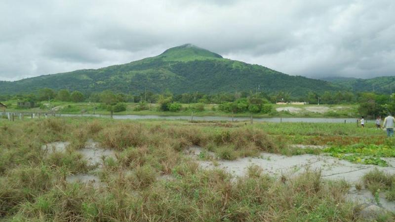 Picture of Other property for sale in Botolan in Zambales