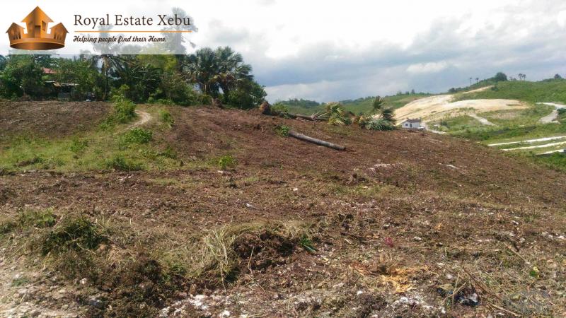 Picture of Residential Lot for sale in Consolacion in Cebu