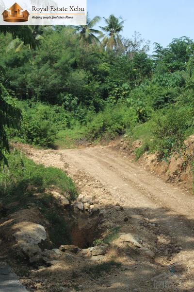 Picture of Residential Lot for sale in Compostela in Cebu