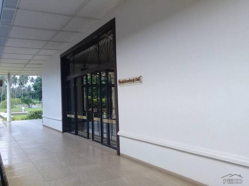 Land and Farm for sale in San Pablo - image 5