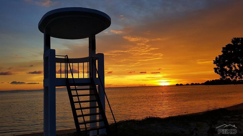 Lot for sale in Calatagan - image 5