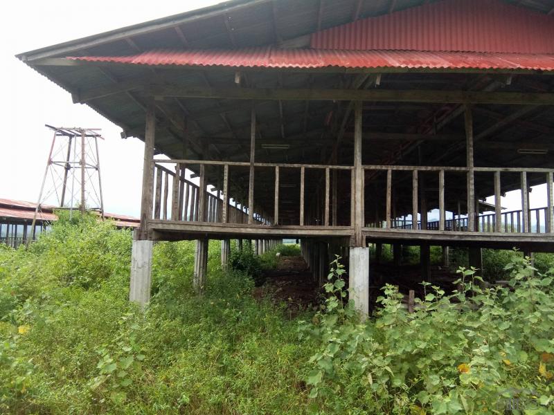 Land and Farm for sale in San Jose 458340 Photo 5