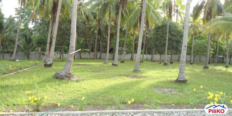 Picture of Residential Lot for sale in Cebu City in Philippines