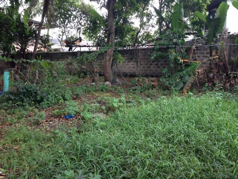 Residential Lot for sale in Talisay - image 6