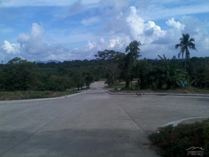Commercial Lot for sale in Tagaytay - image 6
