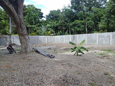 Picture of Residential Lot for sale in Bacong in Philippines