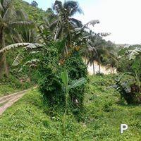 Residential Lot for sale in Cebu City - image 6