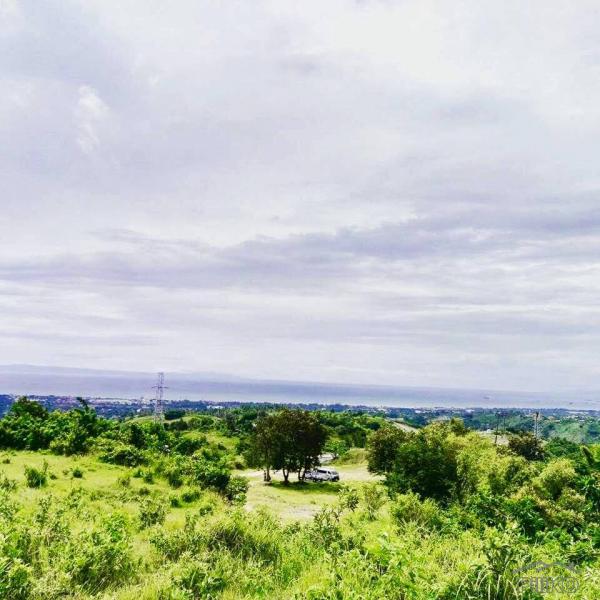 Picture of Residential Lot for sale in Minglanilla in Philippines