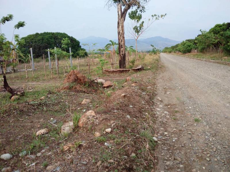 Land and Farm for sale in Iba - image 6