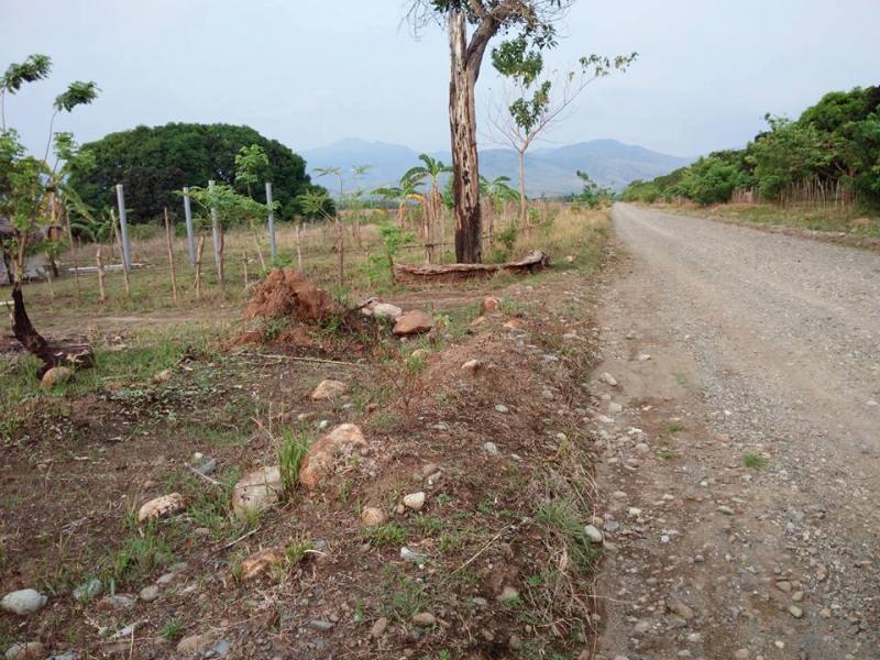 Picture of Land and Farm for sale in Iba in Philippines