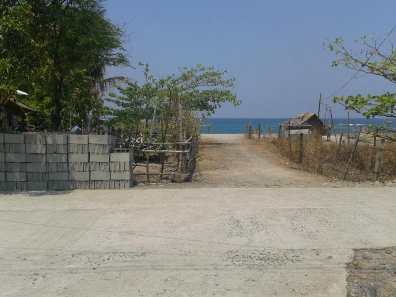 Picture of Residential Lot for sale in Cabangan in Philippines