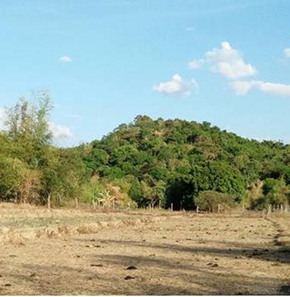 Picture of Land and Farm for sale in Botolan in Philippines