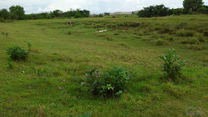 Picture of Other property for sale in Cabangan in Philippines