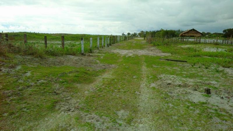 Picture of Other property for sale in Botolan in Philippines