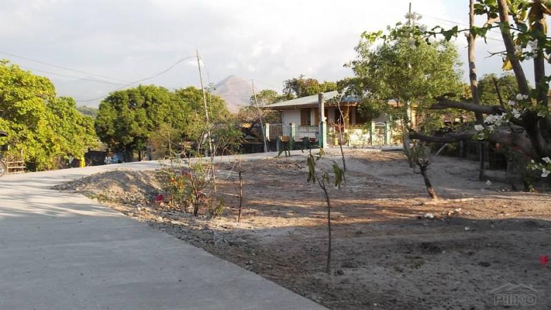 Other property for sale in Cabangan - image 6