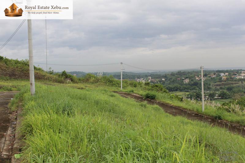 Residential Lot for sale in Consolacion - image 6