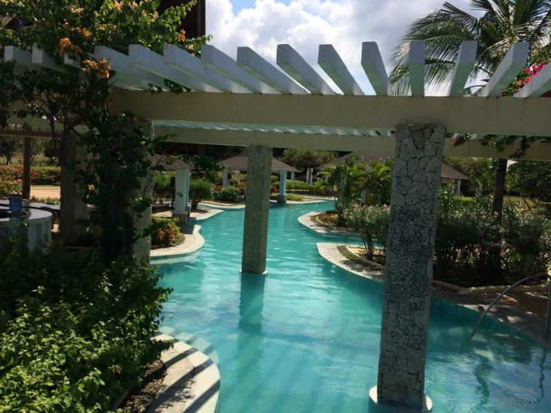 Lot for sale in Calatagan - image 6