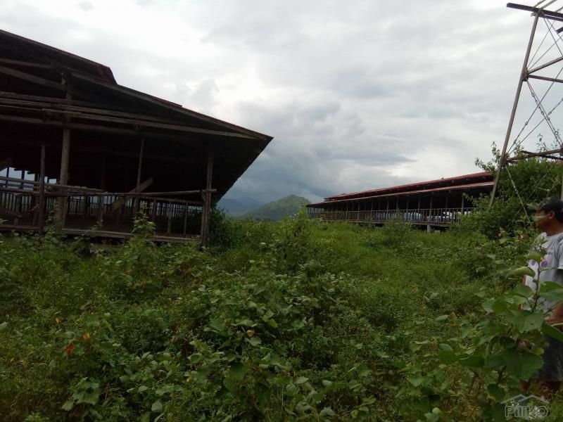 Picture of Land and Farm for sale in San Jose in Philippines