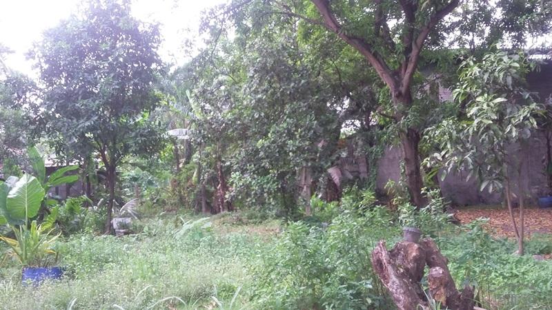 Residential Lot for sale in Talisay in Cebu - image