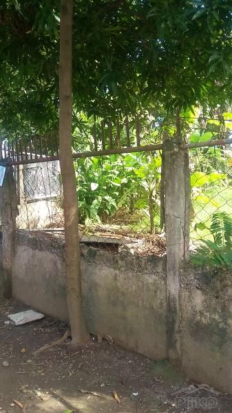 Residential Lot for sale in Lapu Lapu in Cebu - image