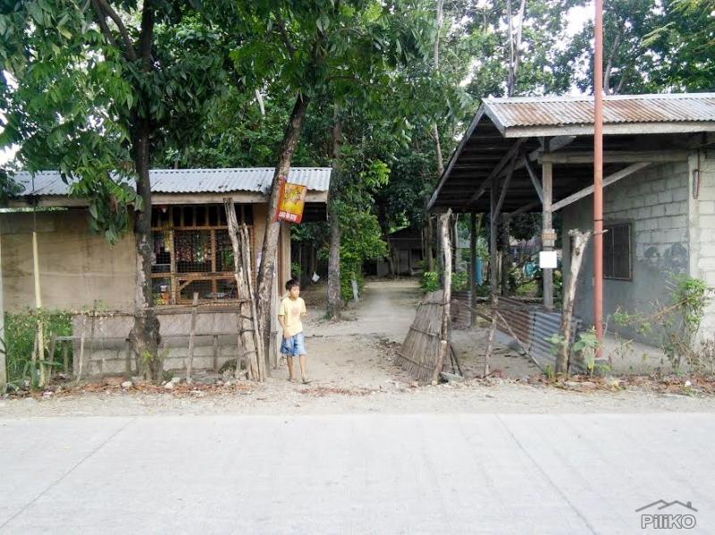 Residential Lot for sale in Lapu Lapu in Cebu - image