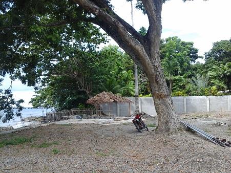 Residential Lot for sale in Bacong in Negros Oriental - image