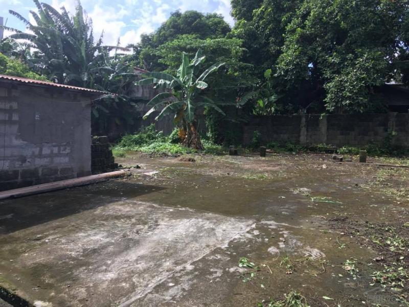 Lot for sale in Quezon City in Metro Manila - image