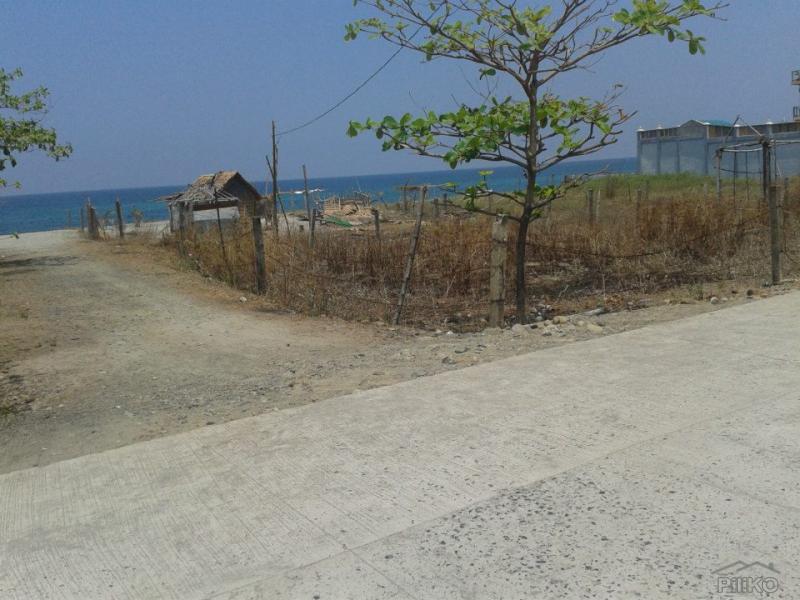 Residential Lot for sale in Cabangan - image 7