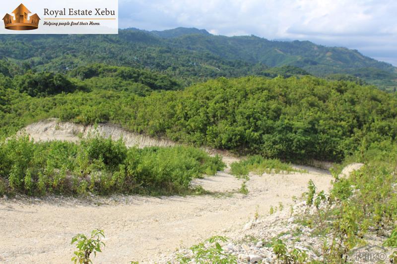 Residential Lot for sale in Compostela in Cebu - image