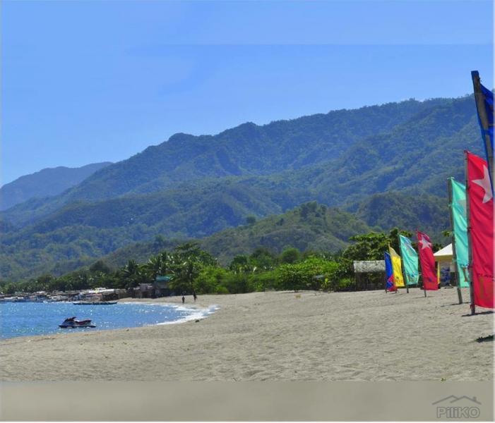 Residential Lot for sale in San Juan in Batangas - image