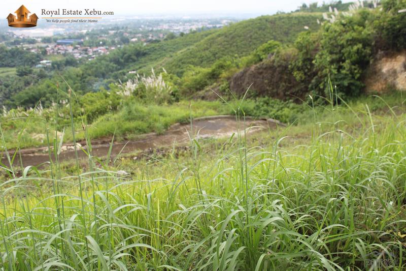Residential Lot for sale in Consolacion - image 7
