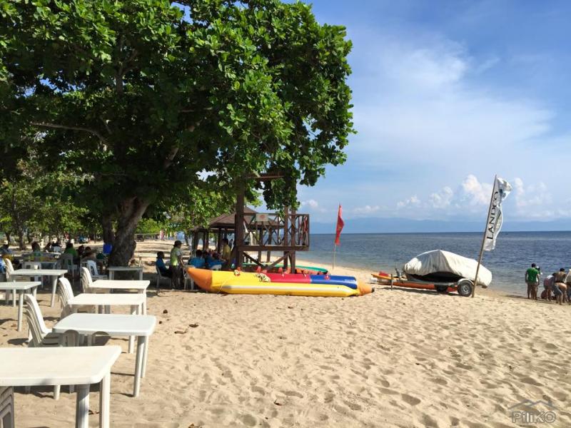 Lot for sale in Calatagan 458332 Photo 7