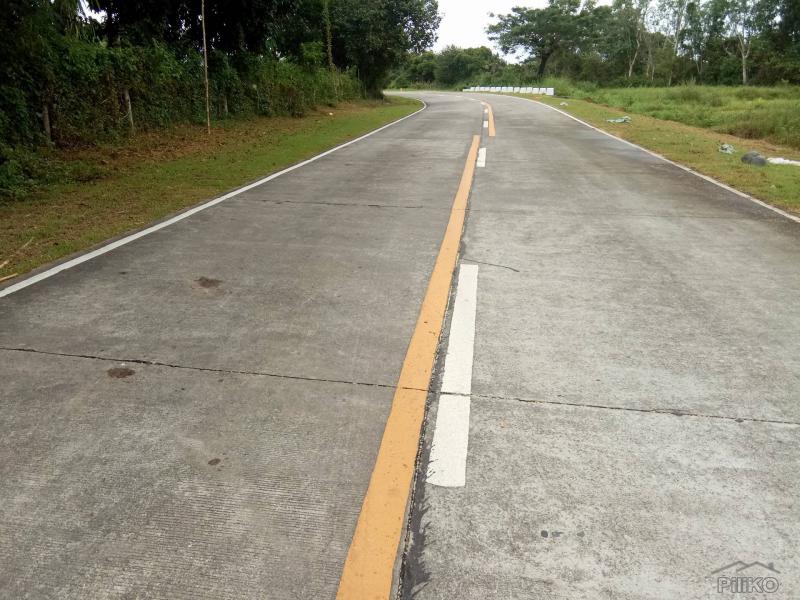 Land and Farm for sale in San Jose in Tarlac - image