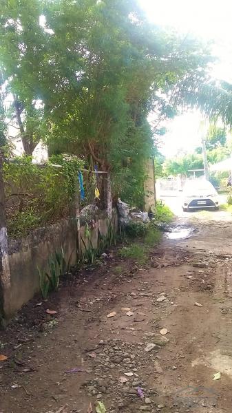 Residential Lot for sale in Lapu Lapu in Philippines - image