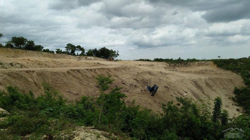 Residential Lot for sale in Consolacion - image 8