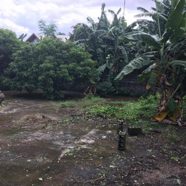 Lot for sale in Quezon City in Philippines - image