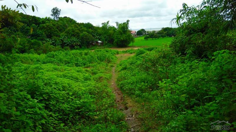 Land and Farm for sale in Cabangan - image 8