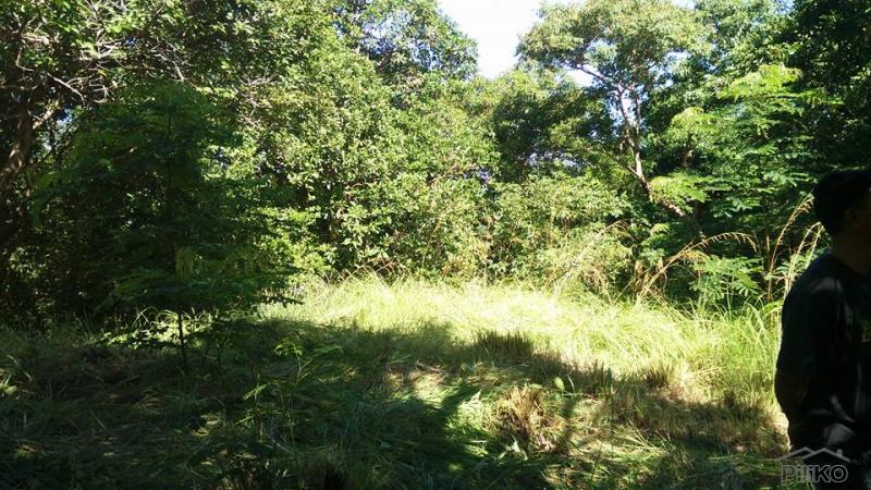 Land and Farm for sale in Botolan - image 8