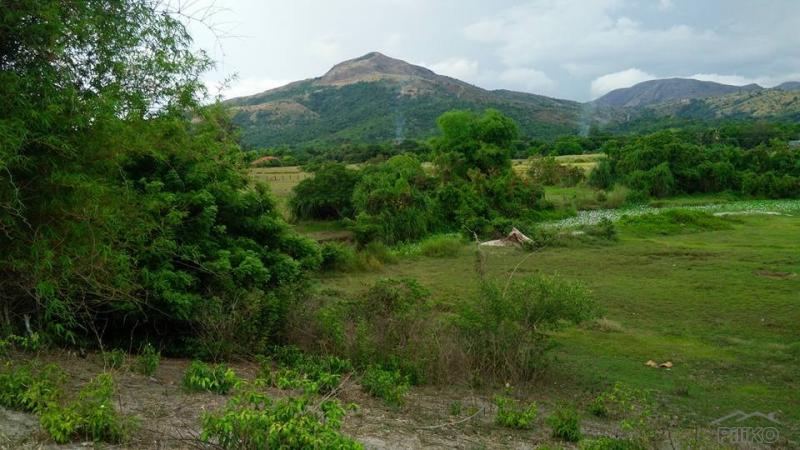 Other property for sale in Cabangan - image 8