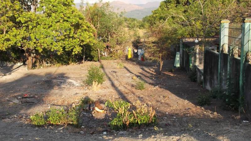 Other property for sale in Cabangan - image 8