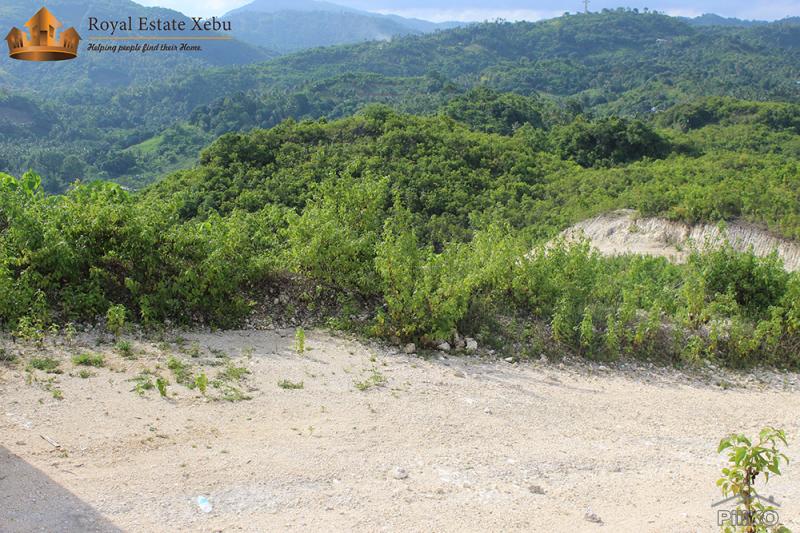 Residential Lot for sale in Compostela in Philippines - image