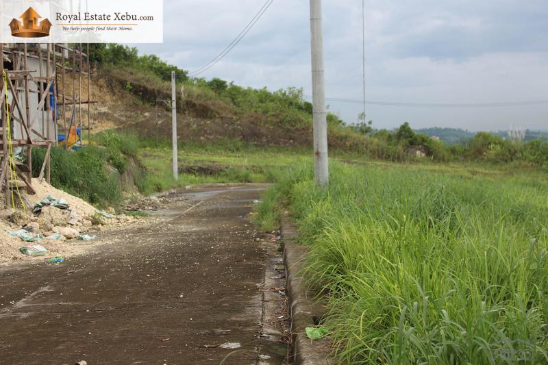 Residential Lot for sale in Consolacion - image 8